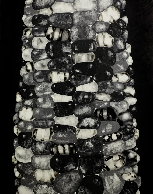 3,specise,種,(재료)먹 charcoal on paper. 117x91cm.JPG