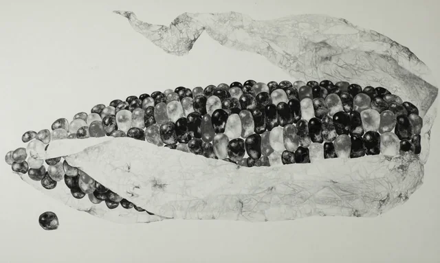 4,specise,種,(재료)먹 charcoal on paper.120x180cm (4).JPG